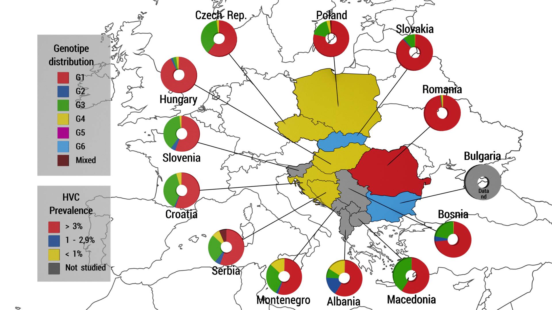 Genotype distribution in Central Europe (Petruzziello et al., 2016).